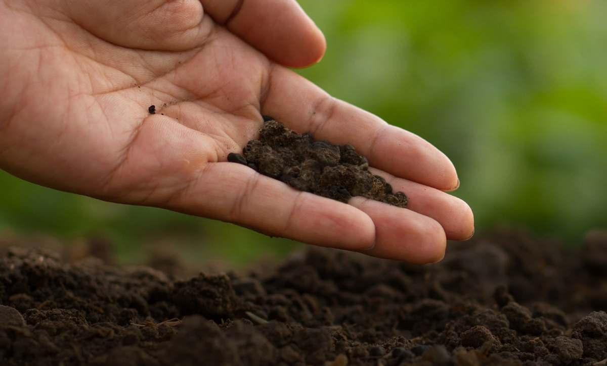compost card